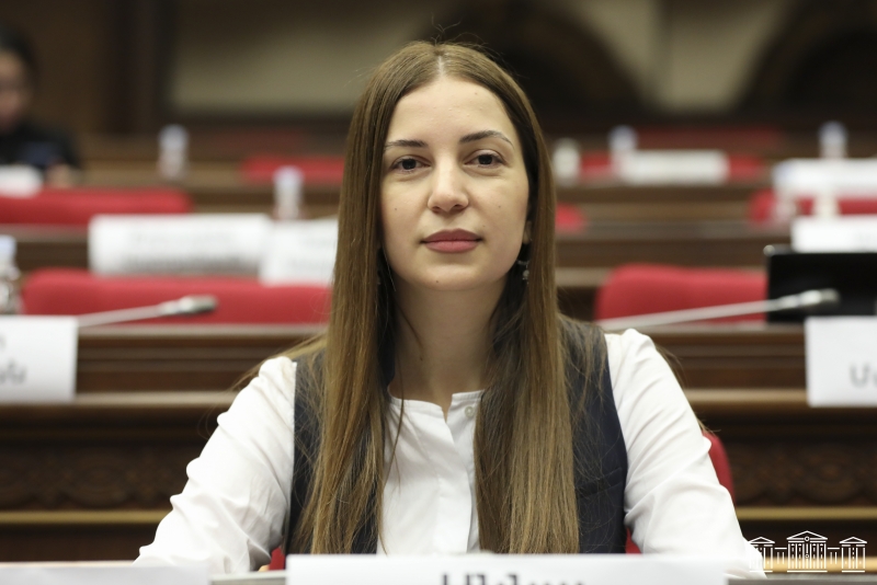 EU should make a targeted assessment of Azerbaijan and Turkey – MP Anna Grigoryan