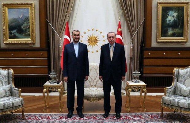 امیرعبداللهیان در دیدار با اردوغان: راه‌حل سیاسی تنها مسیر حل بحران سوریه است