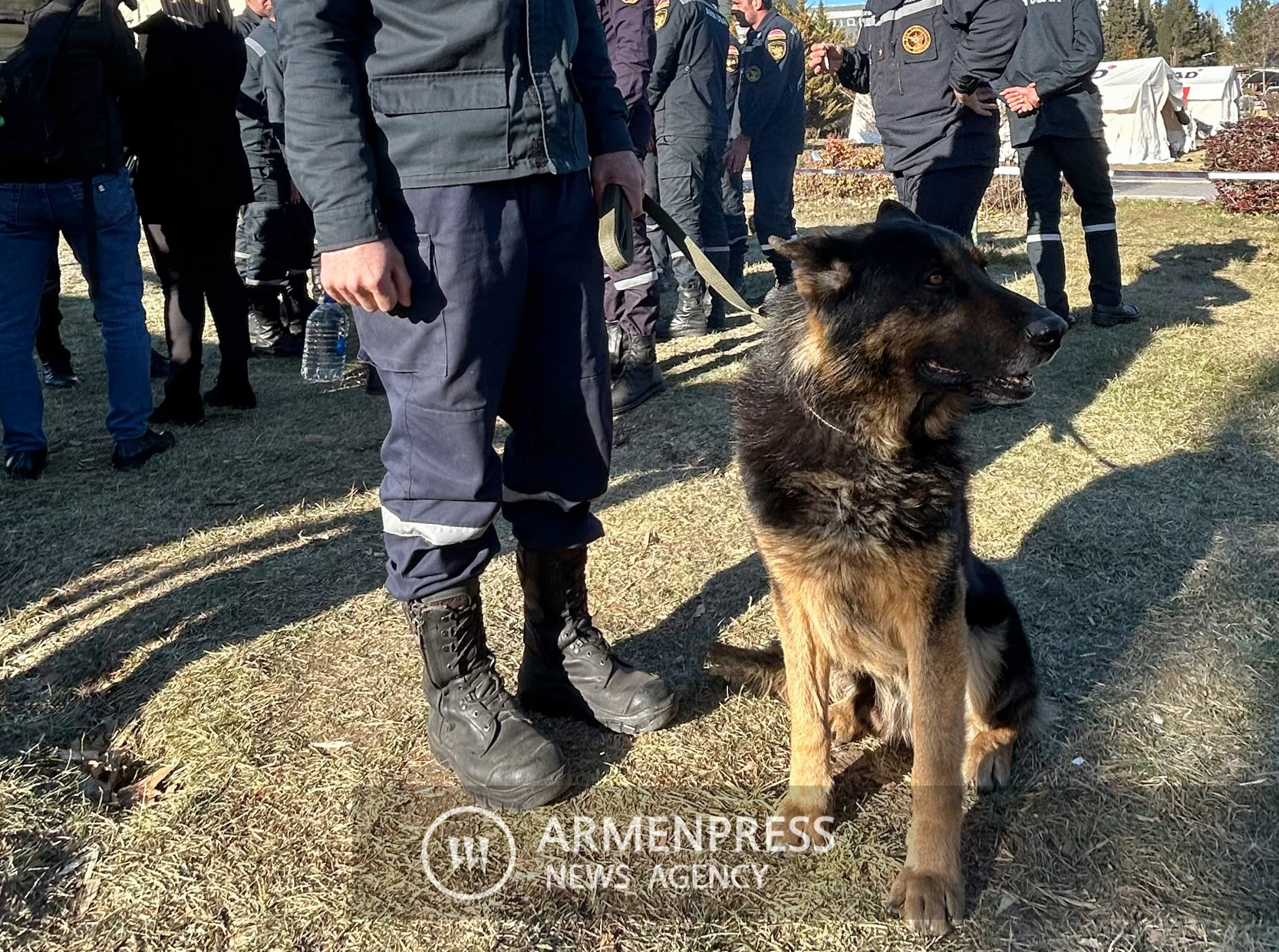 Fluffiest member of Armenian SAR team in Turkey credited for crucial support