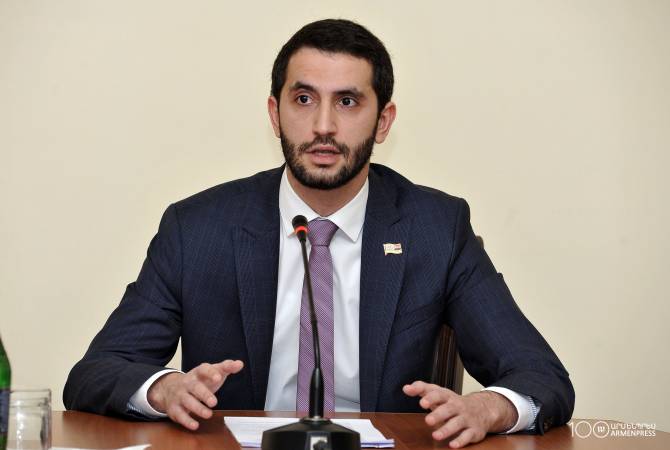 Armenia, Azerbaijan still disagree over main issues in peace talks – Vice Speaker