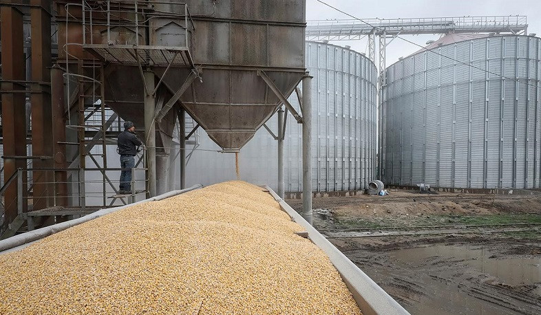 Zelensky suggested to UN and Turkey to continue supply of grain without Russia's participation