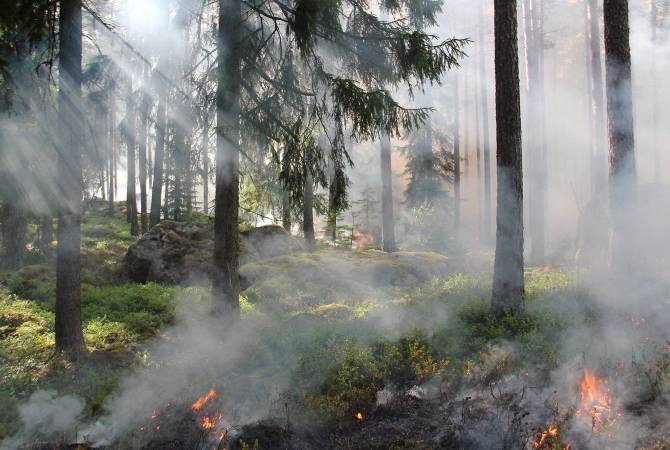 Թուրքիայում անտառային հրդեհի պատճառով ժամանակավորապես փակել են Դարդանելի նեղուցը, 1000-ից ավելի մարդ տարհանվել է