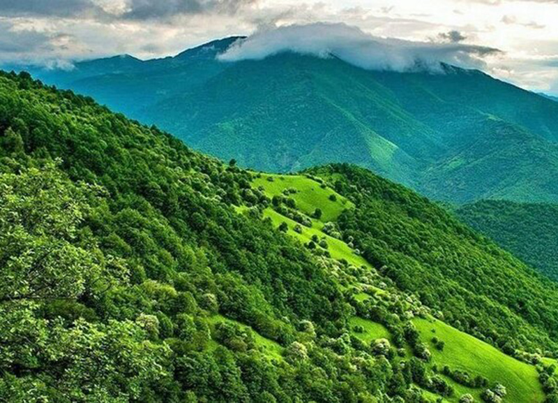 جنگل‌های ارسباران و ۴ کاروانسرای آذربایجان‌ شرقی ثبت جهانی می‌شوند