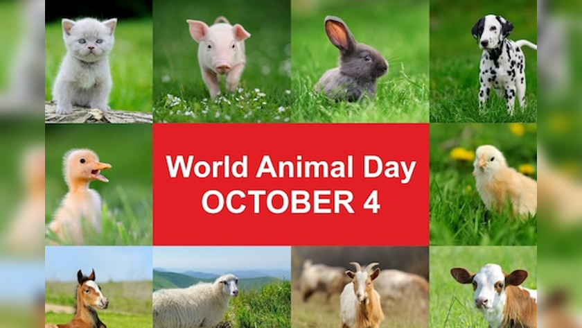 World Animal Welfare Day 2023: Theme, history, significance