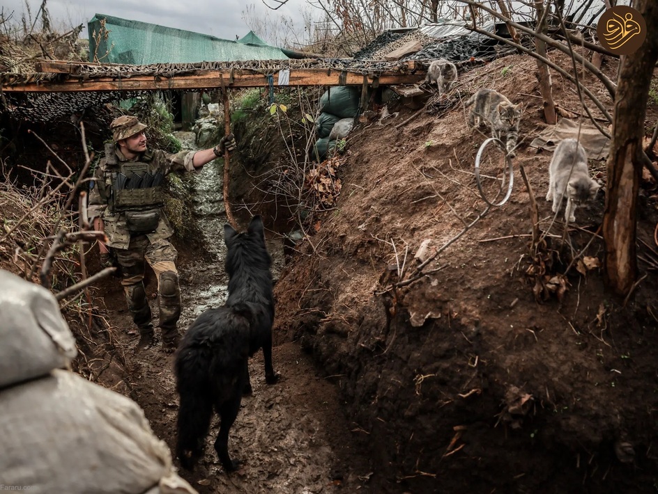 جنگ خندق  ارتش اوکراین در قرن ۲۱