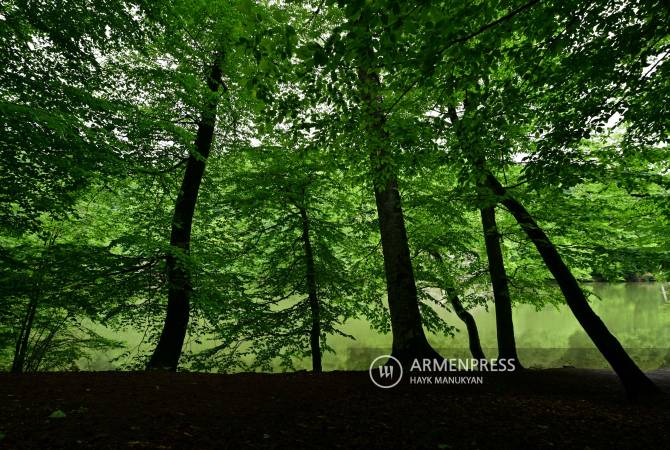 Switzerland invests 10 million CHF for 10-year forest restoration project with Armenia