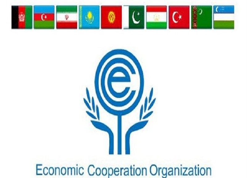 عضویت ایران در شانگهای و شرکت در اجلاس اکو، در حل و فصل مشکلات منطقه موثر است