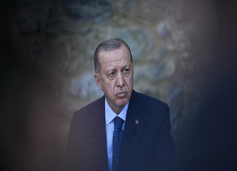European court condemns Turkish law banning insults of Erdogan